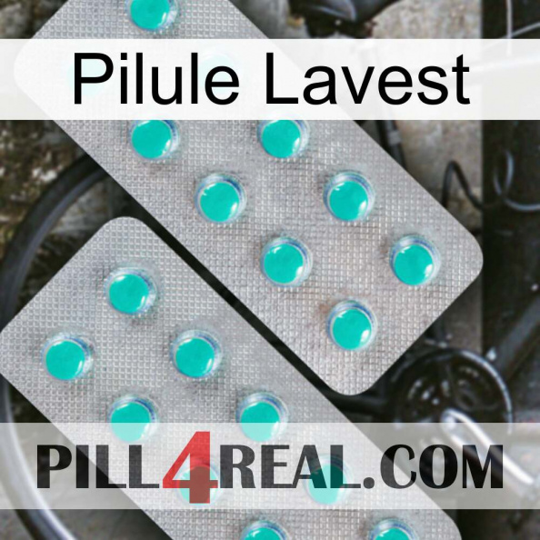 Lavest Pill 29